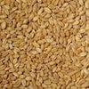 Seedhouse Whole Wheat 20kg