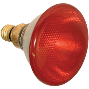 Lamp Infrared Kerbl Red 100w