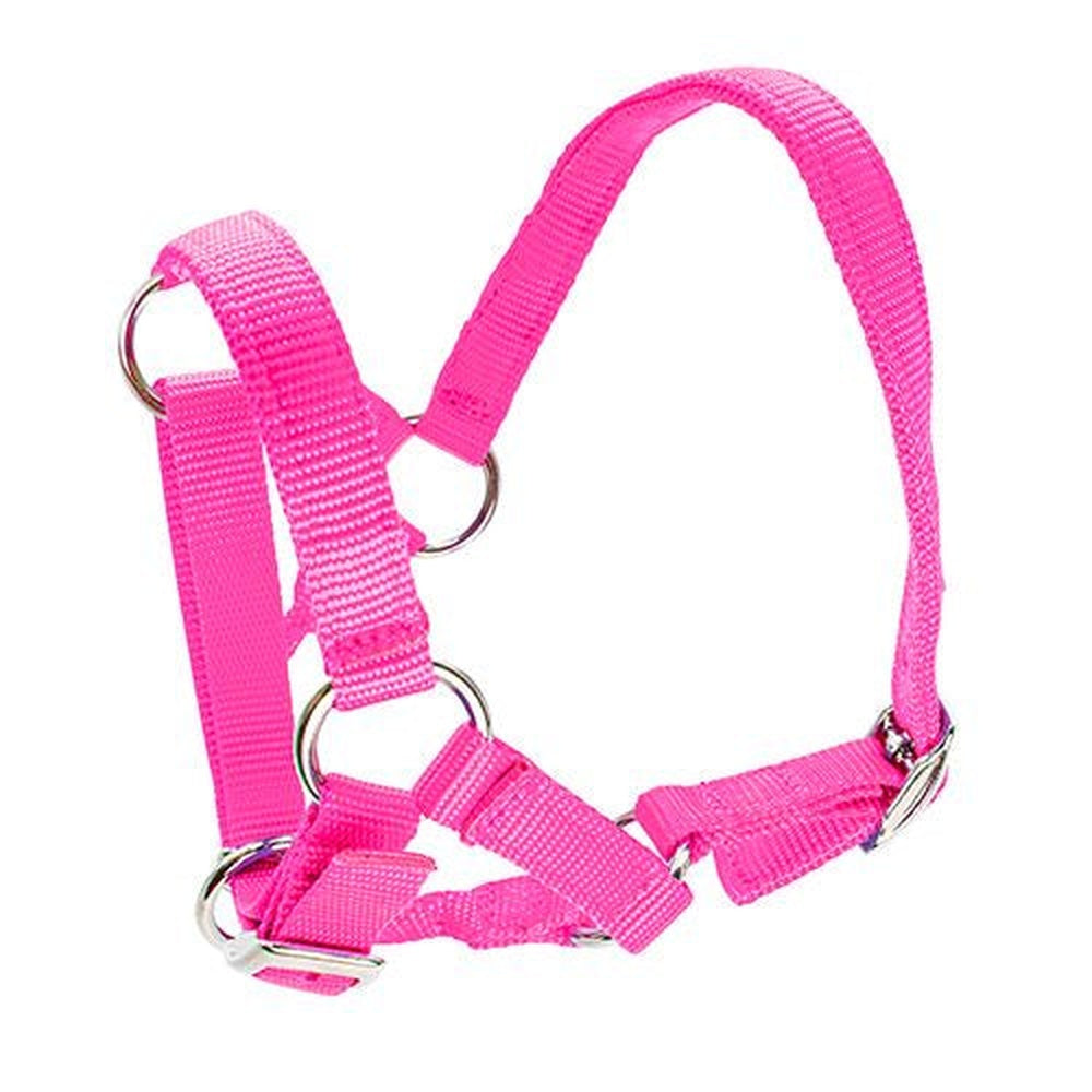 Bainbridge Alpaca Halter - Pink