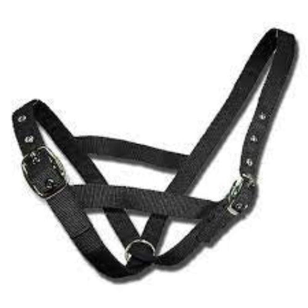 Bainbridge Cattle Halter - Cow - Black