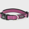 Premium Sport Neoprene Dog Collar - Medium - (35-55cm) - Pink