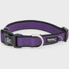 Premium Sport Neoprene Dog Collar - Medium - (35-55cm) - Purple